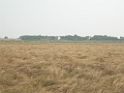 DSCN1692