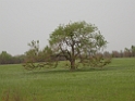 DSCN1694