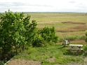 DSCN1705