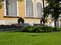 DSCN1772