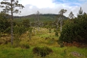 Cairngorm.20170619_132051
