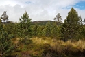 Cairngorm.20170619_132704(0)