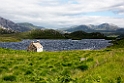 Landskab.20170628_7784