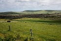 Orkney.20170623_8021