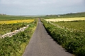 Orkney.20170623_8069