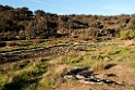 Rio Tozo.20120417_9265