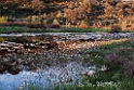 Rio Tozo.201217apr_5177