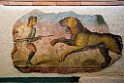 Merida_DSC6532