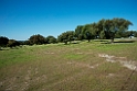 Stenegemark_DSC6486