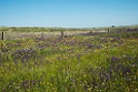 Steppen._DSC6492