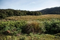 Hortons Plains.20131129_0259