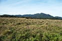 Hortons Plains.20131129_0260