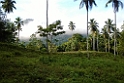 Kithugala.20131126_001