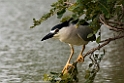 Nathejre.20131129_0233