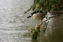 Nathejre.20131129_0235