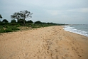 Yala N.P.20131129_0074
