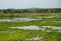 Yale N.P.20131129_0160