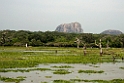 Yale N.P.20131129_0162