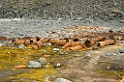 2407 Danskøya00