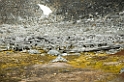 2407 Danskøya01