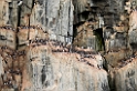 3007 Alkefjellet Polarlomvie13