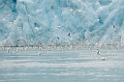 3107 Monacobreen21