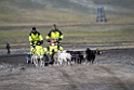 Hundeslæde_20130701_535