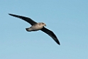 Mallemuk_20130704_1019