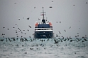 Polarlomvie_20130706_1588