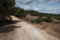 Algarrobo Tarifa_20140918_0849