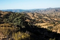 Andújar_20140914_0678