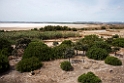Laguna De Fuente de Piedra_20140913-0670