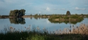 Laguna de Tarelo.20170324_6707