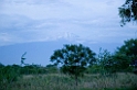 Kilemanjaro