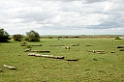 Manyara landskab00