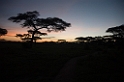 Ndutu solnedgang