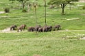 Tarangira Elefant06