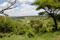 Tarangira lodge05