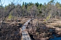 Billingen.201109apr_9788