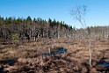 Billingen.201109apr_9789