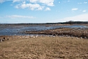 Trandansen.201108apr_9838