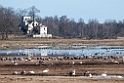 Trandansen.201110apr_9774