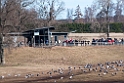 Trandansen.201110apr_9775