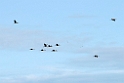 Traner.201110apr_9784