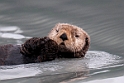 Alaska 2012