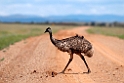 Australia 2010