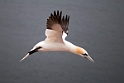 Helgoland 2012