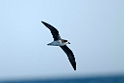Madeira 2010