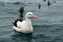 New Zealand 2012