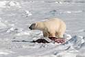Svalbard 2013